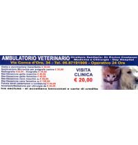 ambulatorio_veterinario.jpg