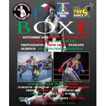 tres_dance_boxe_poster.jpg