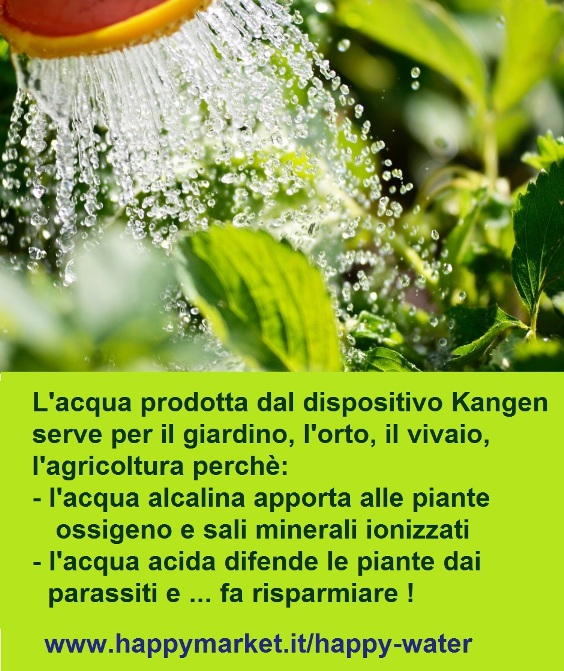 importanza acqua per le piante 564x671