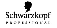 logo professional