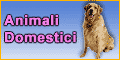 logo-ditta