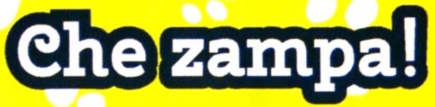 logo-ditta