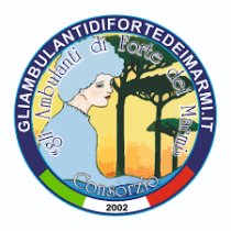 9f0003540c9e249cad6a6f6c55b42764_logo-ambulanti-forte-dei-marmi.png