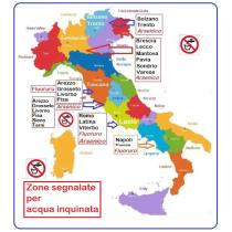 Piantina-Italia-zone-acqua-inquinata.jpg