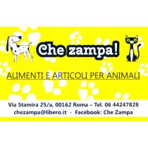 che_zampa.jpg