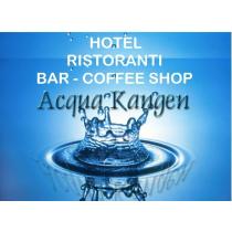 hotel-ristoranti-bar-acqua-kangen-398x293.jpg