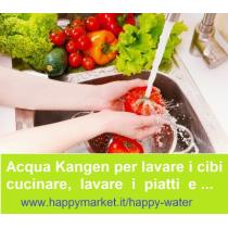 lavare-frutta-e-verdura-acqua-kangen-410x362.jpg