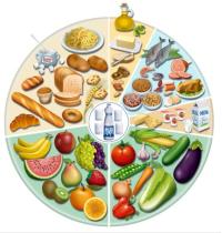 nutrion_center3.jpg