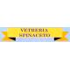 vetreria_spinaceto_logo.jpg